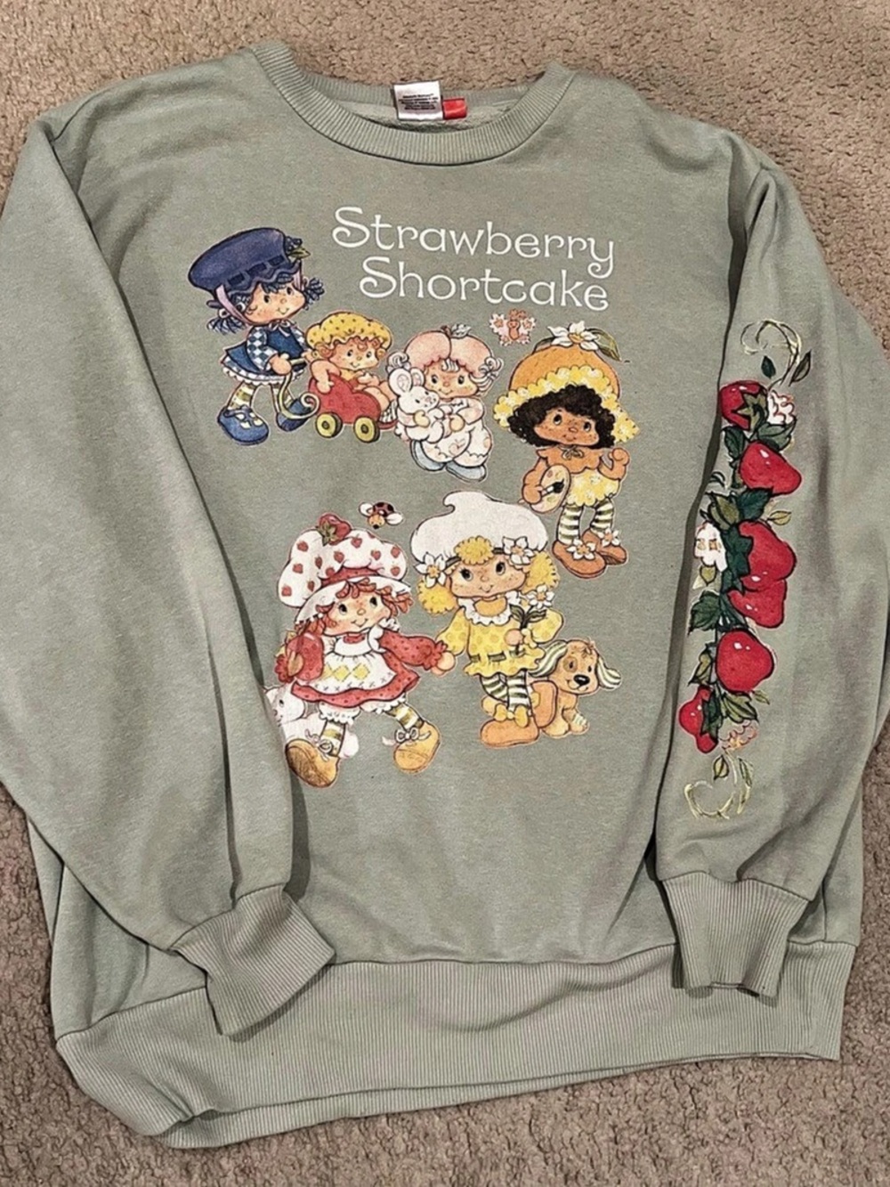 Strawberry Shortcake and Friends Sage Green Graphic Crewneck Sweatshirt Size M